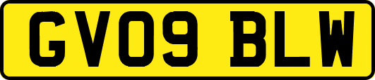 GV09BLW