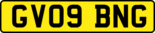 GV09BNG