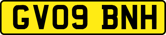 GV09BNH