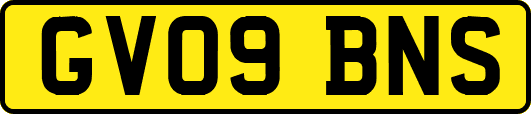 GV09BNS