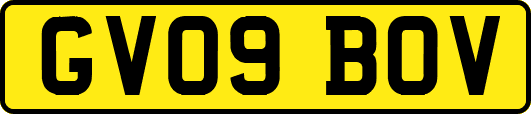 GV09BOV