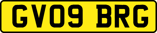 GV09BRG