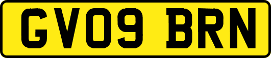 GV09BRN
