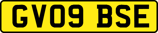 GV09BSE