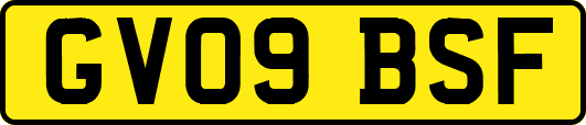 GV09BSF