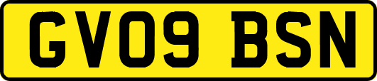 GV09BSN