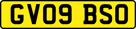 GV09BSO