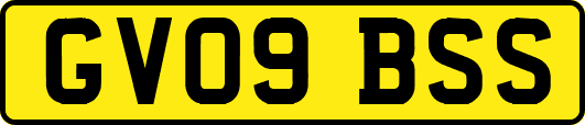 GV09BSS