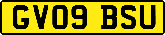 GV09BSU