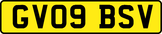 GV09BSV