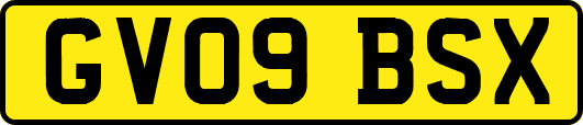 GV09BSX