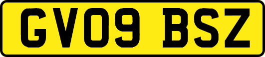 GV09BSZ