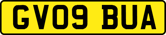 GV09BUA