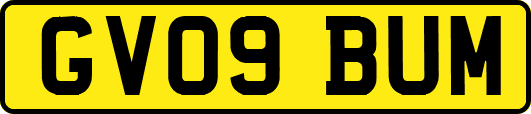 GV09BUM