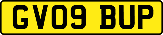 GV09BUP
