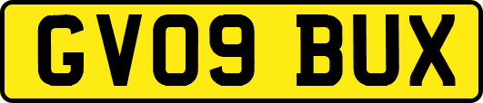 GV09BUX