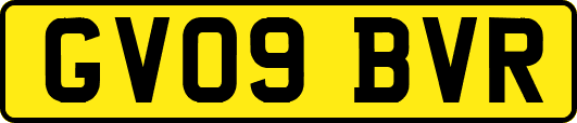 GV09BVR