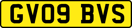 GV09BVS