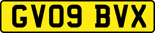 GV09BVX