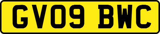 GV09BWC