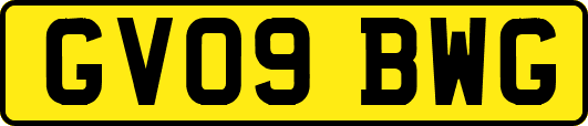 GV09BWG