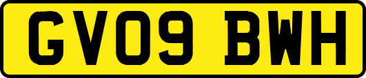 GV09BWH