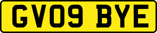 GV09BYE