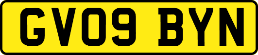 GV09BYN