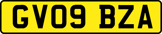 GV09BZA