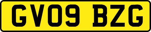 GV09BZG
