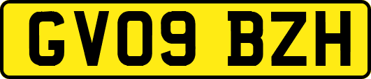 GV09BZH