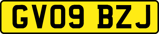 GV09BZJ