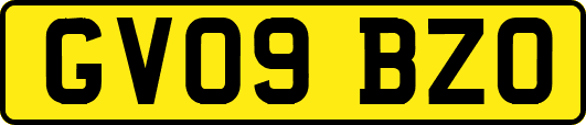 GV09BZO
