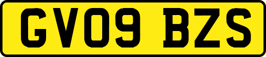 GV09BZS