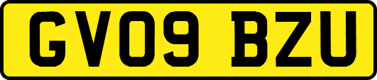 GV09BZU