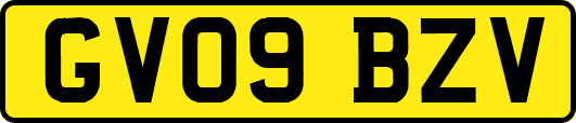 GV09BZV