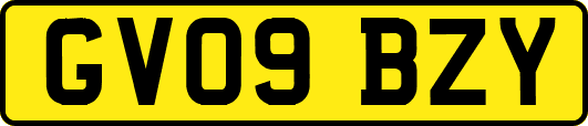 GV09BZY