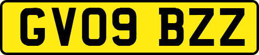 GV09BZZ