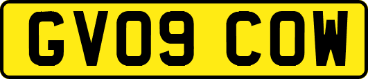 GV09COW