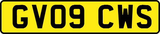 GV09CWS