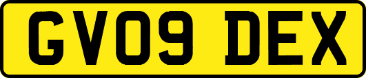 GV09DEX