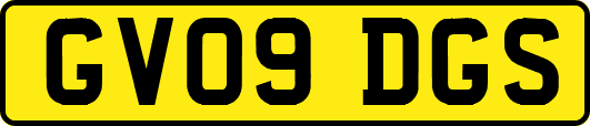 GV09DGS