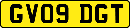 GV09DGT