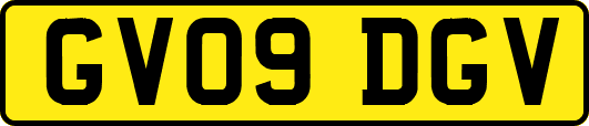 GV09DGV