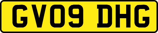 GV09DHG