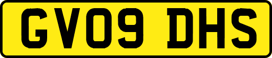 GV09DHS
