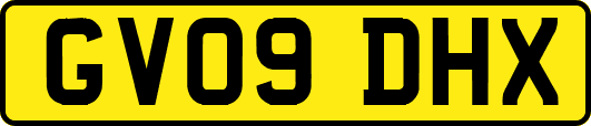 GV09DHX