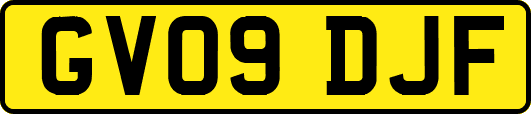 GV09DJF
