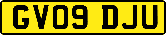 GV09DJU