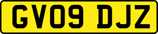 GV09DJZ